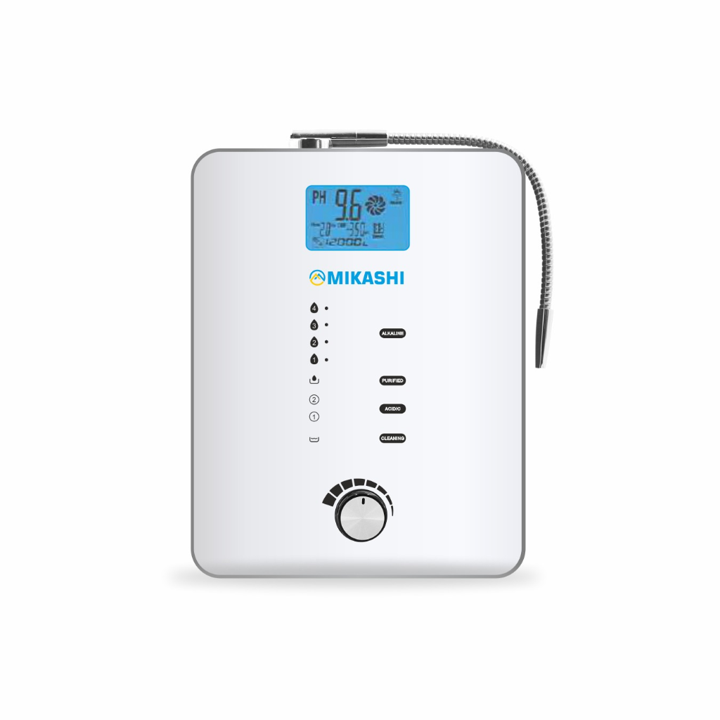 Ionizer